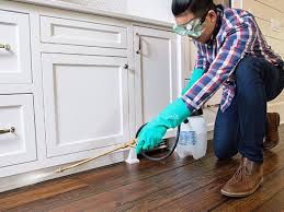 Best Real Estate Pest Inspections  in Tanque Verde, AZ